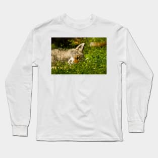 Coyote Long Sleeve T-Shirt